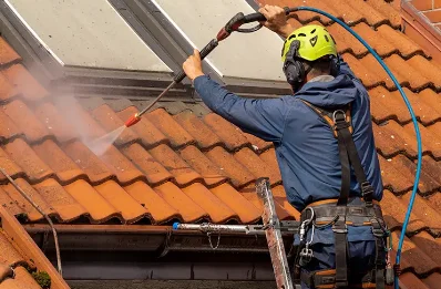 Démoussage et hydrofuge de toiture à Villepreux